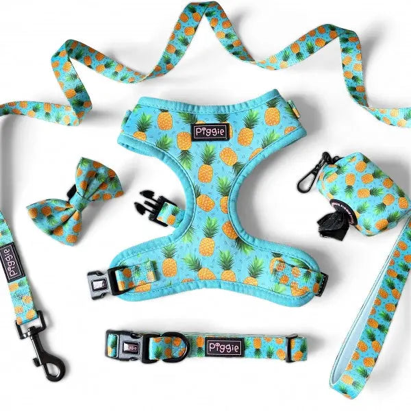 Lemon Squeeze Dog Harness Super Bundle - Piggie - 1