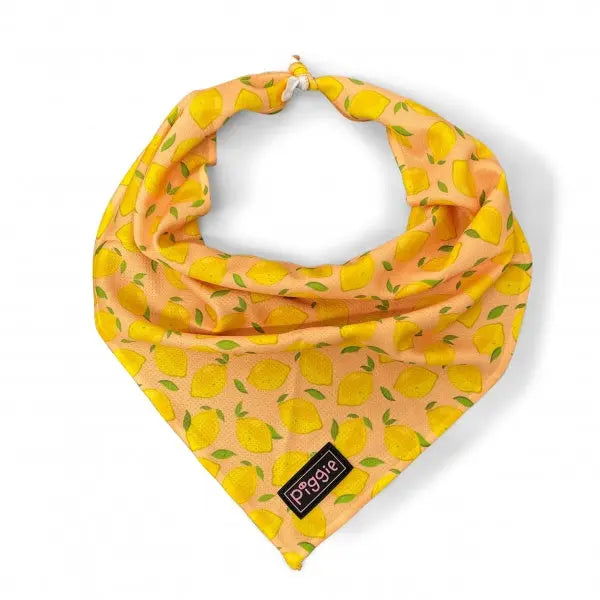 Lemon Squeeze Tie On Dog Bandana - Piggie - 1