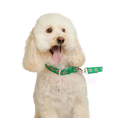 Northern Ireland Football Team Dog Collar - Urban - 6