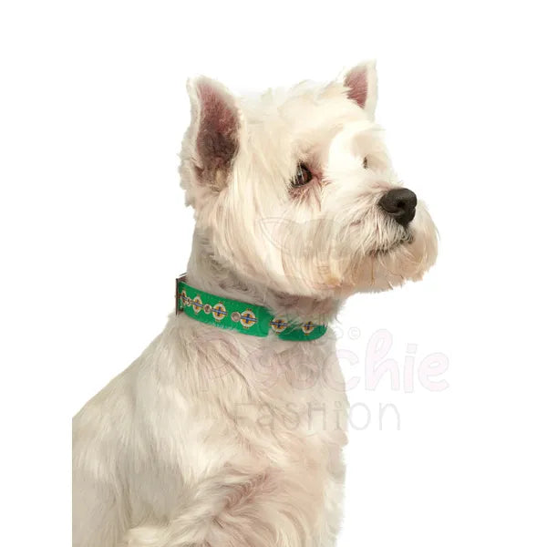 Northern Ireland Football Team Dog Collar - Urban - 3