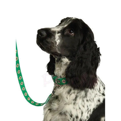 Northern Ireland Football Team Dog Collar - Urban - 7