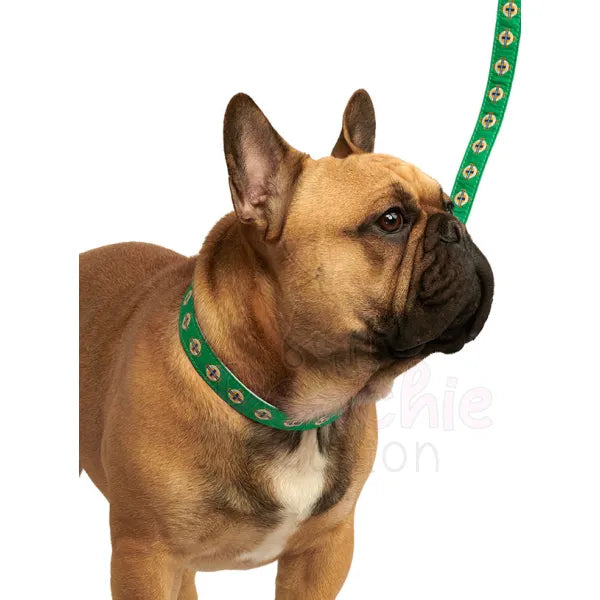 Northern Ireland Football Team Dog Collar - Urban - 2