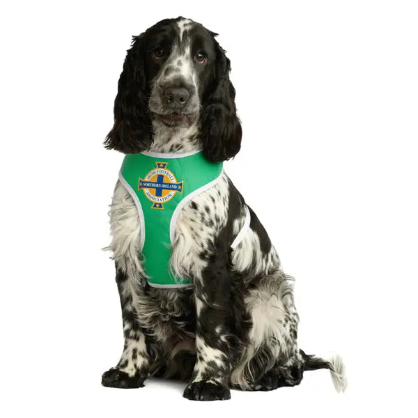 Northern Ireland Football Team Dog Harness - Urban - 2