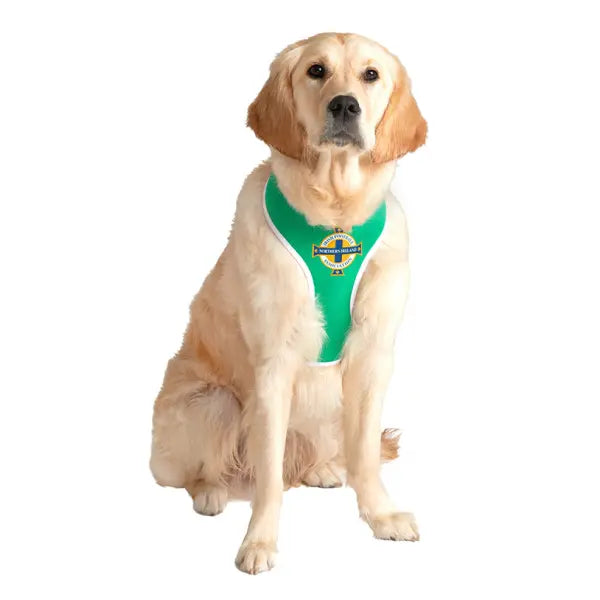 Northern Ireland Football Team Dog Harness - Urban - 9