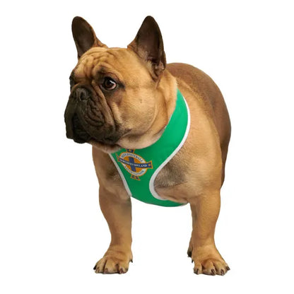 Northern Ireland Football Team Dog Harness - Urban - 6