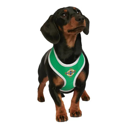 Northern Ireland Football Team Dog Harness - Urban - 8