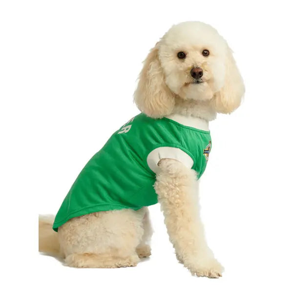 Northern Ireland Football Team Dog T-shirt - Urban - 6