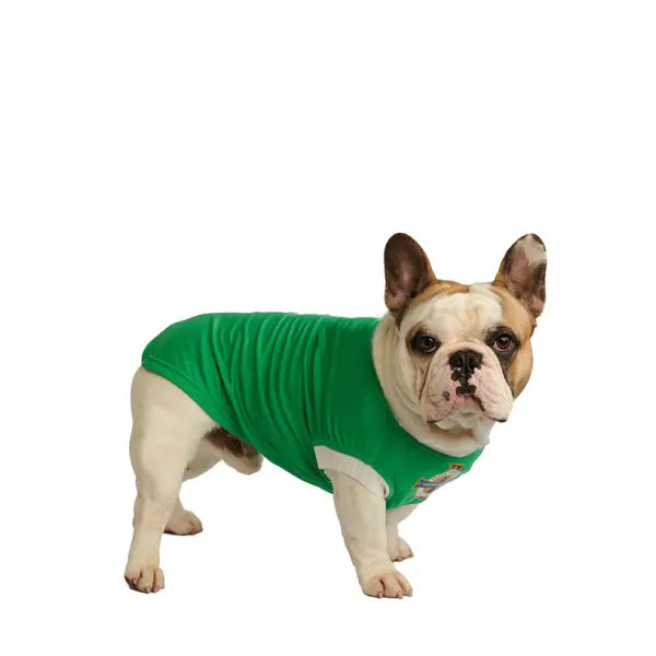 Northern Ireland Football Team Dog T-shirt - Urban - 7