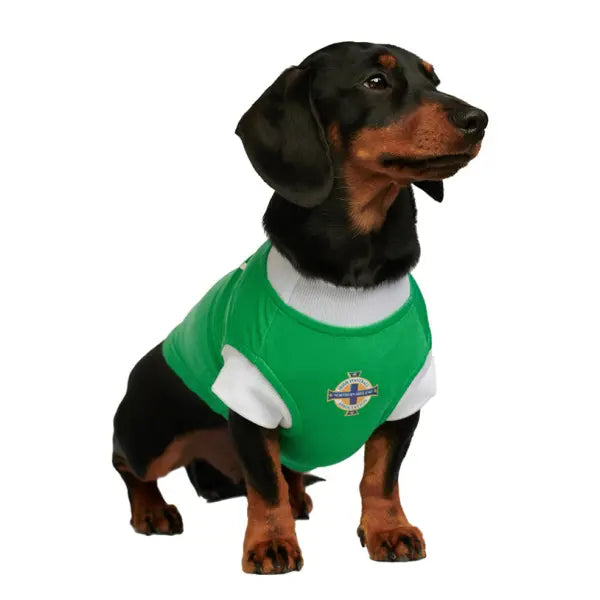 Northern Ireland Football Team Dog T-shirt - Urban - 5