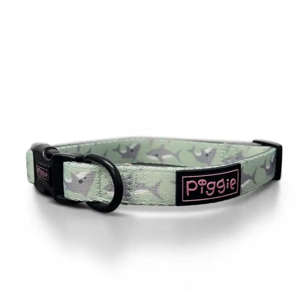 Ocean Predator Dog Collar - Piggie - 1