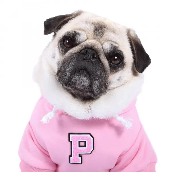 Pink Personalised Embroidered Letter Hoodie - Rich Paw - 3