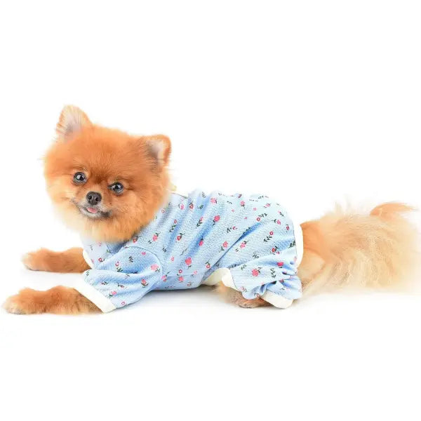 Pretty Floral Small Dog Pyjamas Blue - Posh Pawz - 4