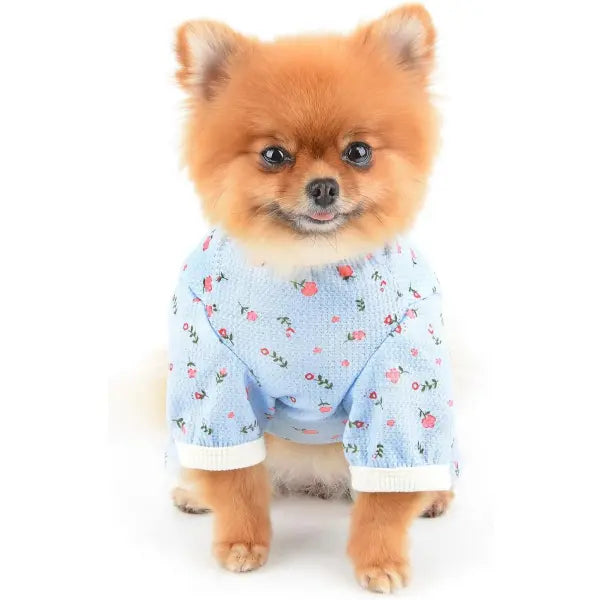 Pretty Floral Small Dog Pyjamas Blue - Posh Pawz - 3