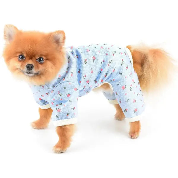 Pretty Floral Small Dog Pyjamas Blue - Posh Pawz - 2