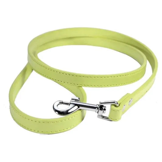 Primrose Plain Leather Dog Lead - Urban - 1