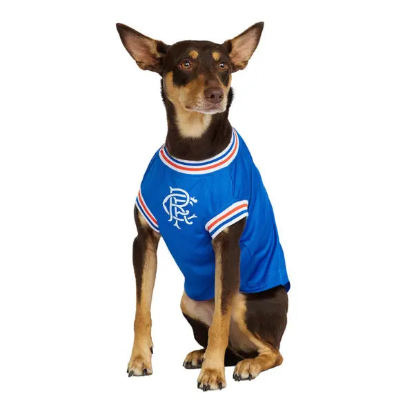 Rangers Football Team Dog T-shirt - Urban - 5