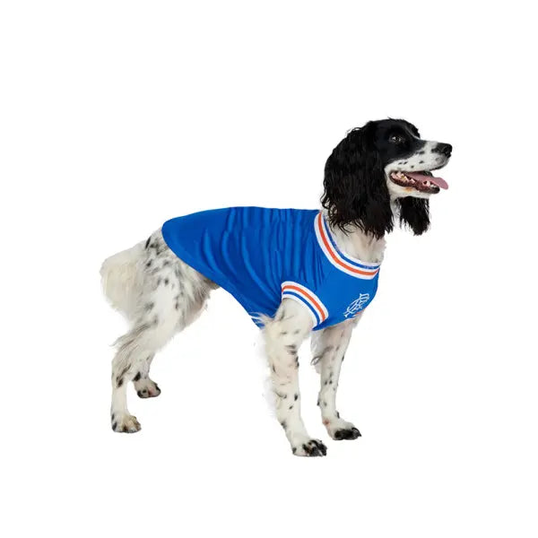 Rangers Football Team Dog T-shirt - Urban - 4