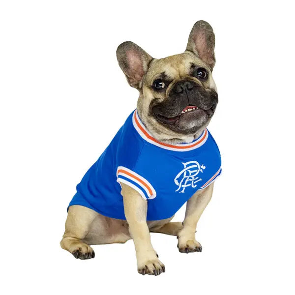 Rangers Football Team Dog T-shirt - Urban - 6