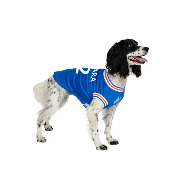 Rangers Football Team Personalised Dog T-shirt - Urban - 6