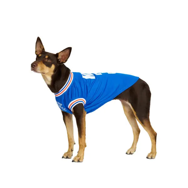 Rangers Football Team Personalised Dog T-shirt - Urban - 7