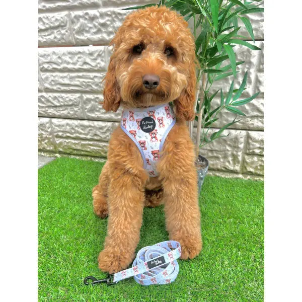 Rusty Bear Dog Harness - Pet Pooch - 3