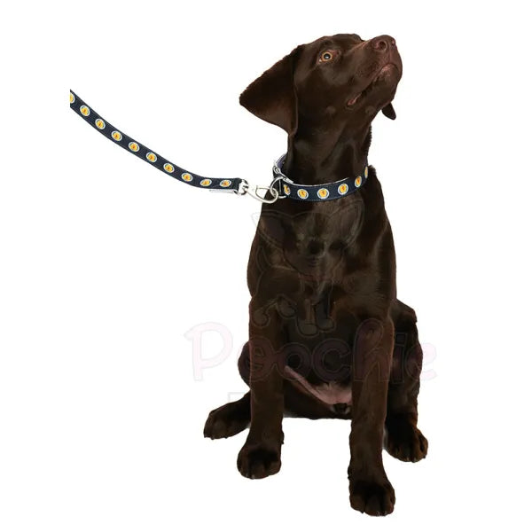 Scotland Football Team Dog Collar & Lead Set - Sale - 2