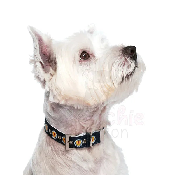 Scotland Football Team Dog Collar & Lead Set - Sale - 3