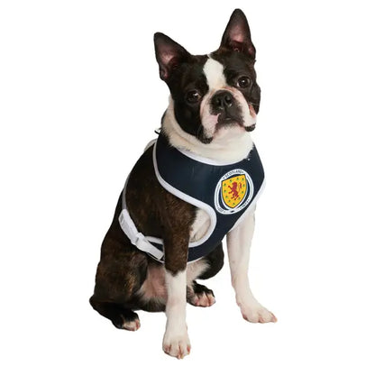 Scotland Football Team Dog Harness - Urban - 5