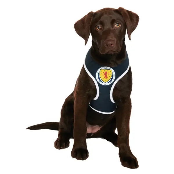 Scotland Football Team Dog Harness - Urban - 2