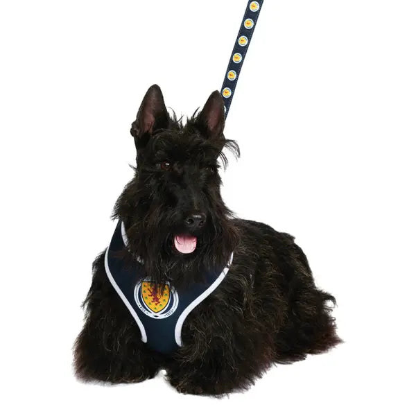 Scotland Football Team Dog Harness - Urban - 6