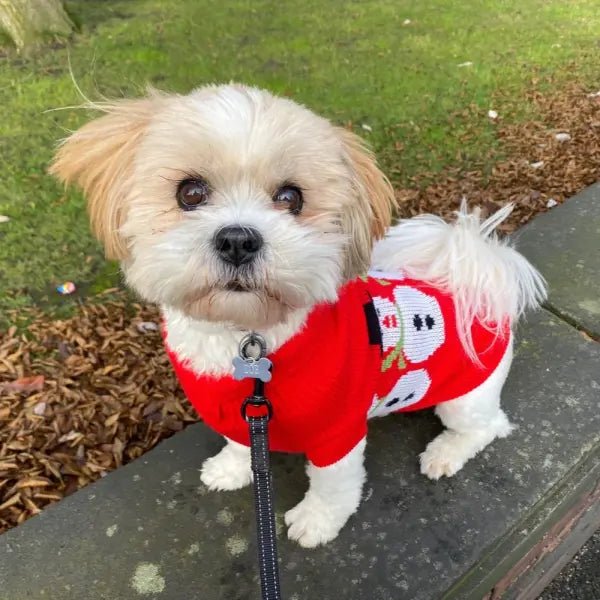 Snowman Dog Jumper - Urban Pup - 2