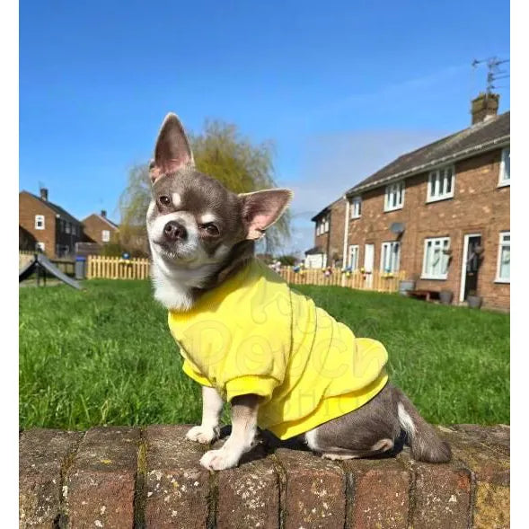 Sunshine Yellow Micro Fleece Dog Sweatshirt - Rich Paw - 2