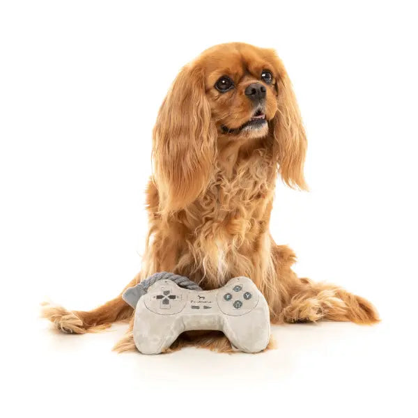 Superdogtendo Controller Dog Toy by Fuzzyard - Fuzzyard - 2