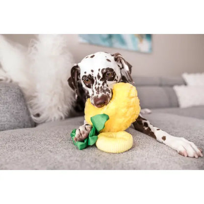 Tropical Paradise Paws Up Pineapple Dog Toy by P.l.a.y - P.l.a.y - 5