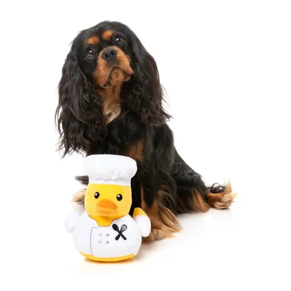 Waddle Squad-dle - Gordon Quacksay Dog Toy by Fuzzyard - Fuzzyard - 6