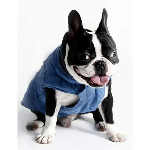 Weatherproof Quilted Bodywarmer Dog Coat In Blue - Posh Pawz - 3