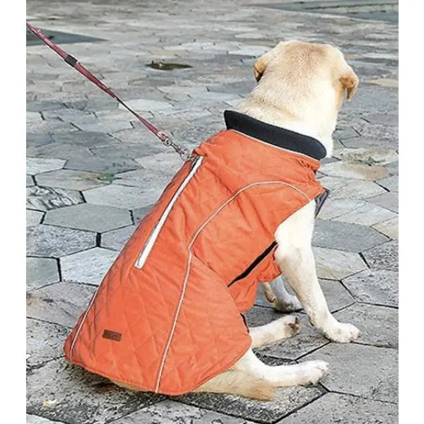 Dog body warmer best sale